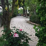 Il Giovine 4*