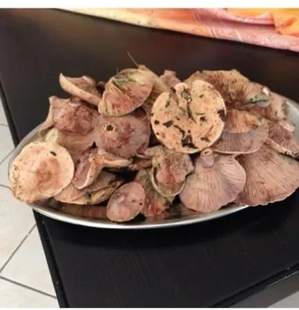 Il Giovine Oda ve Kahvaltı