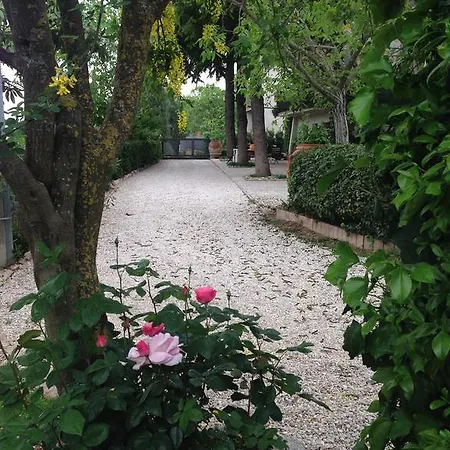 Il Giovine 4*