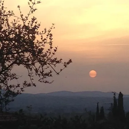 Il Giovine Bed and breakfast