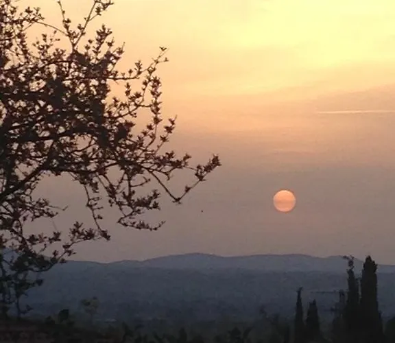 Il Giovine Bed & Breakfast